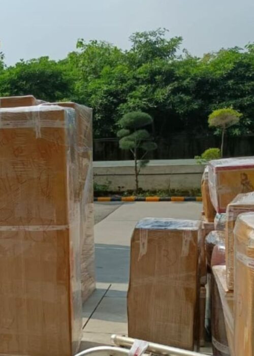 Untitled design (14)