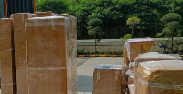 Untitled design (14)